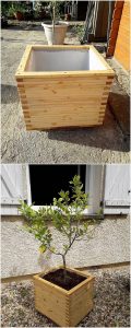 Wooden Pallet Planter Box