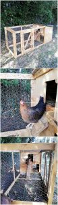 Pallet Chicken Coop