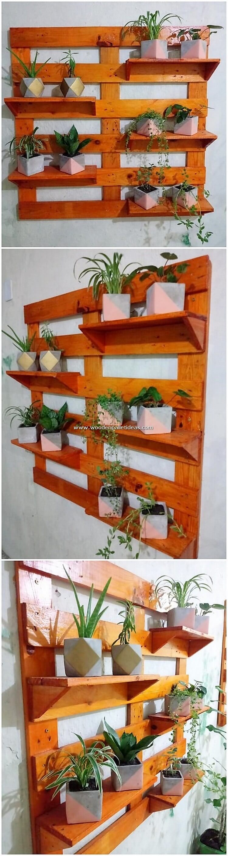 Pallet-Wall-Planter